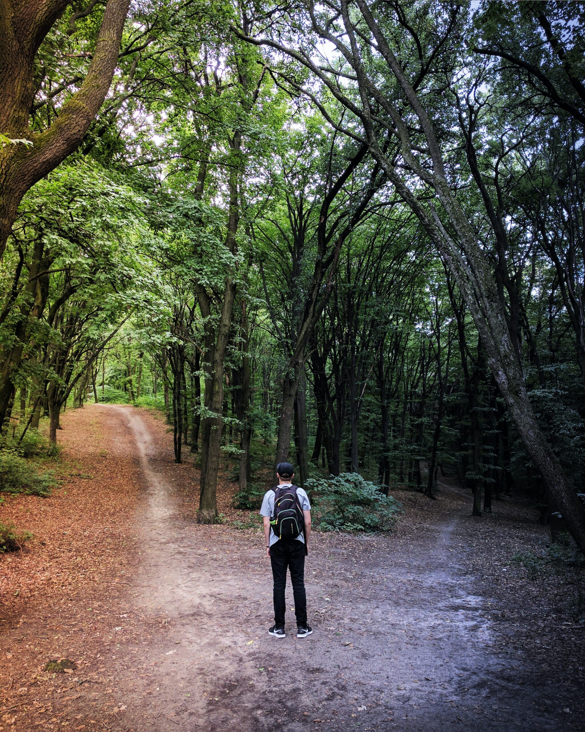Man in forest at fork in the path